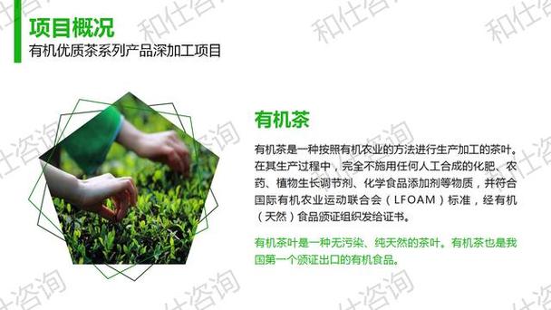 有機優質茶系列產品深加工項目建議書